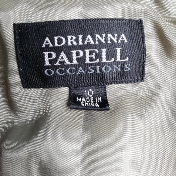 ADRIANNA PAPPEL Satin Champagne Formal Shutter Pleaded Midi Jacket Dress 10 1333 - Picture 5 of 12